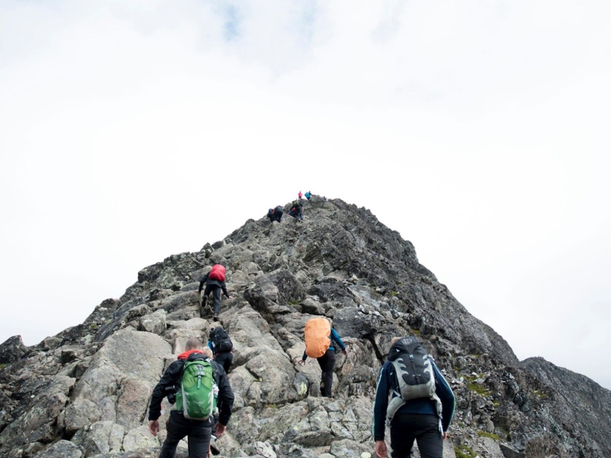 How to lead an evidence&nbsp;centre