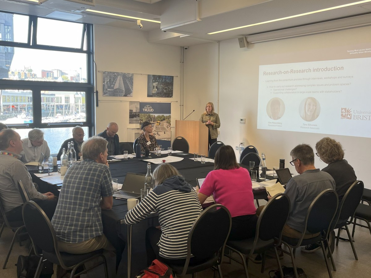 Supporting effective collaboration in large transdisciplinary research&nbsp;teams